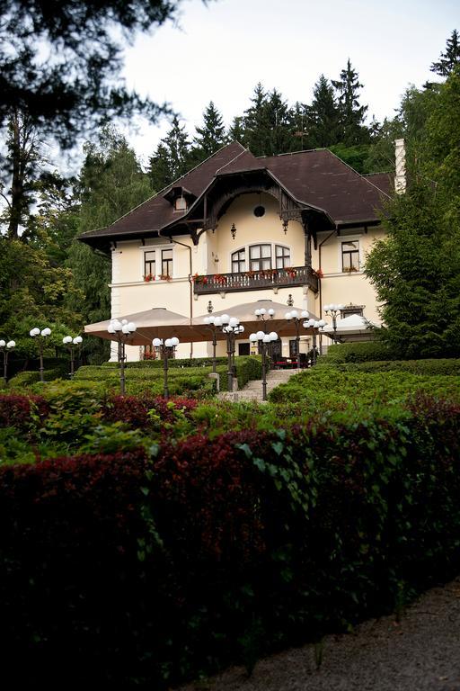 Vila Herberstein Velenje Kültér fotó