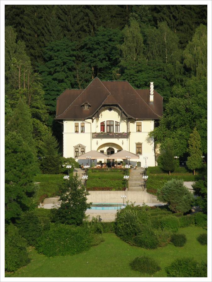 Vila Herberstein Velenje Kültér fotó